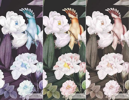 A316-colors-Tropical-flowers-and-cockatoo-poster-mural-wallpaper-tropikal-çicekler-ve-kakadu-kusu-poster-duvar-kagidi-amazon