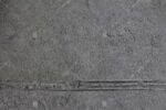 1214-2 Doğal Beton Görünümlü Duvar Kağıdı Detay