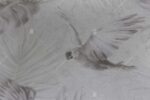9905-1 Beyaz Tropikal Kuş ve Çiçek Desenli Duvar Kağıdı Detay