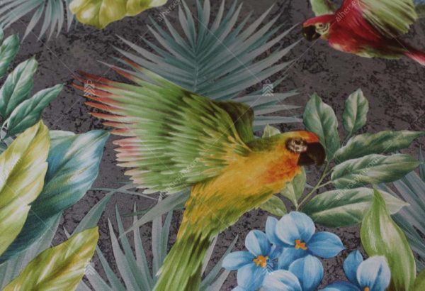 9905-4 Gri, Kırmızı ve Yeşil Tropikal Kuş ve Çiçek Desenli Duvar Kağıdı Detay