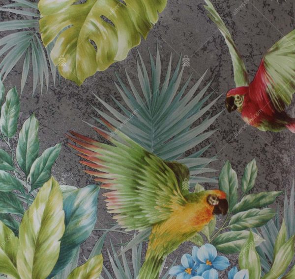 9905-4 Gri, Kırmızı ve Yeşil Tropikal Kuş ve Çiçek Desenli Duvar Kağıdı