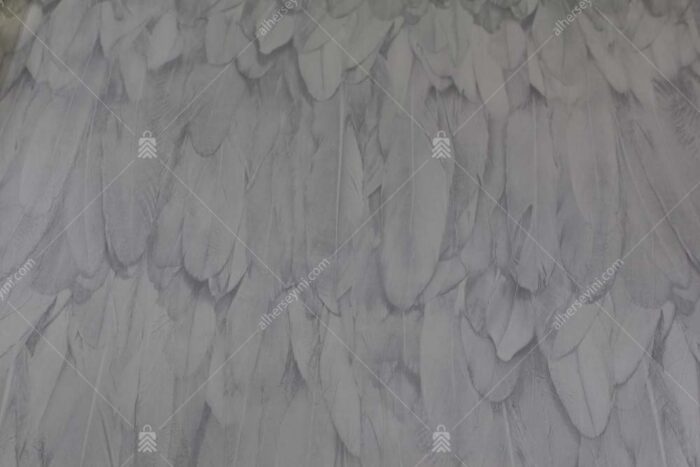 9913-1 Beyaz Kuş Tüyü Desen Duvar Kağıdı Detay