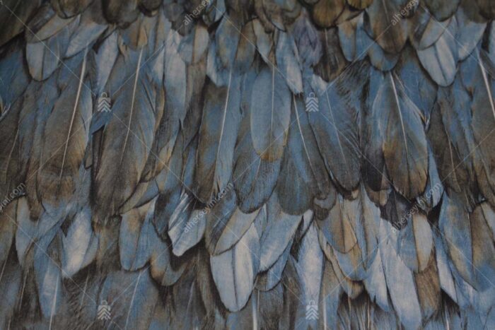 9913-3 Mavi Kuş Tüyü Desen Duvar Kağıdı Detay