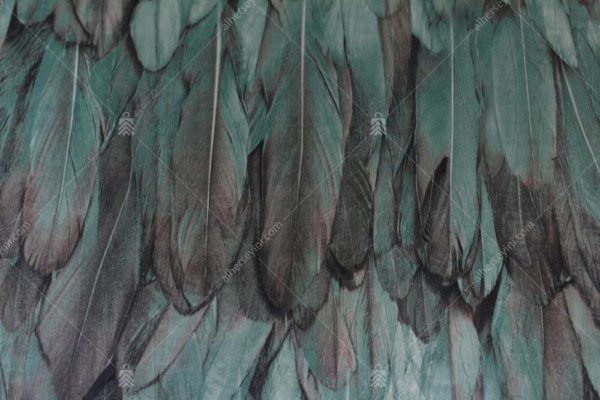 9913-4 Yeşil Kuş Tüyü Desenli Duvar Kağıdı Detay