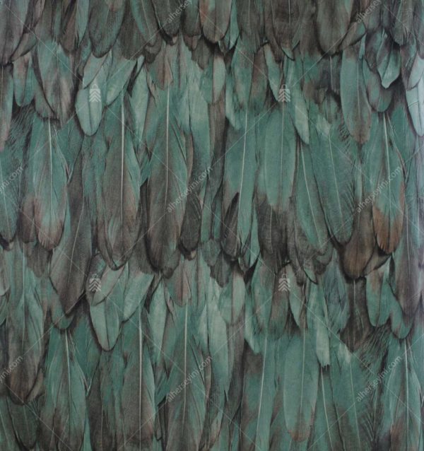 9913-4 Yeşil Kuş Tüyü Desenli Duvar Kağıdı