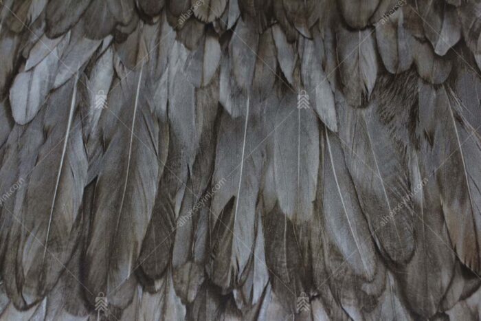 9913-5 Kahverengi Kuş Tüyü Desen Duvar Kağıdı Detay