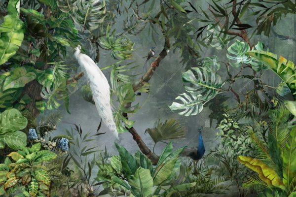 A301-1 Amazon Tropikal Tavus Kuşu Poster Duvar Kağıdı