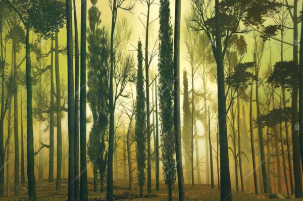 M1044-4 Moneta Orman Ağaç Sis Manzarası Poster Duvar Kağıdı