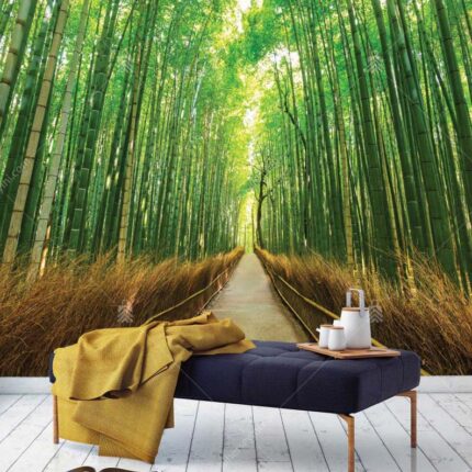 M1047 Moneta Yol Orman Bambu Manzaralı Duvar Posteri Uygulama