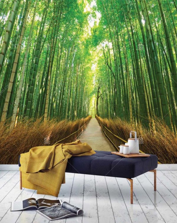 M1047 Moneta Yol Orman Bambu Manzaralı Duvar Posteri Uygulama