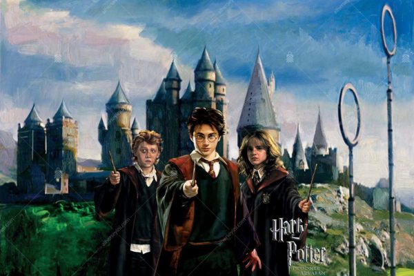 2086-4 Warner Bros Harry Potter Çocuk Odası Duvar Posteri