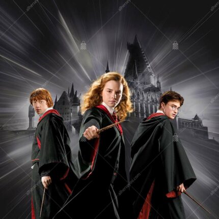 2087-4 Warner Bros Harry Potter Çocuk Odası Duvar Posteri