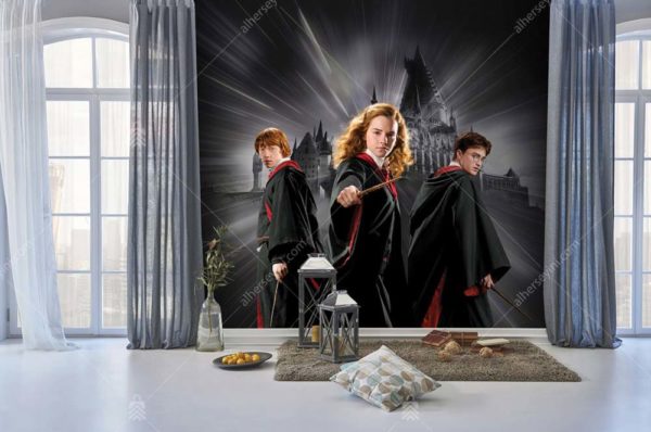 2087 Warner Bros Harry Potter Çocuk Odası Duvar Posteri Uygulama