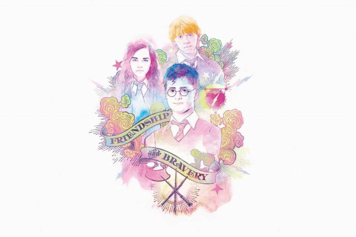2108-4 Warner Bros Harry Potter Çocuk Odası Duvar Posteri