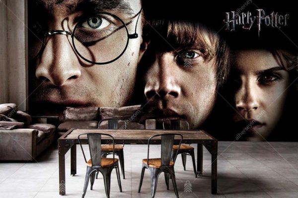 2109 Warner Bros Harry Potter Çocuk Odası Duvar Posteri Uygulama