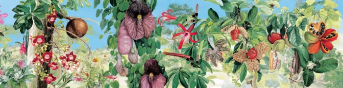 GRP090246 Tropikal Çiçekler Poster Duvar Kağıdı