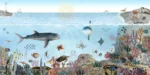 GRP560011 Deniz Canlıları Çocuk Odası Poster Duvar Kağıdı