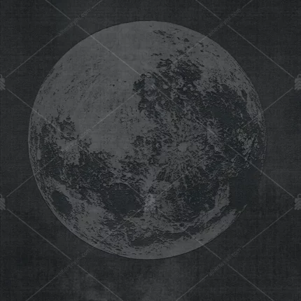 GRP640007 Siyah Zeminde Ay Poster Duvar Kağıdı