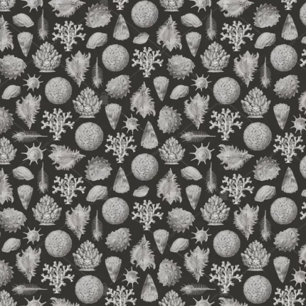 GRP850108 Mercan Deniz Bitkileri Poster Duvar Kağıdı